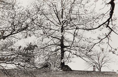 Lot 102 - Lee Friedlander (b.1934)