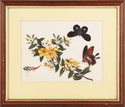 Lot 371 - A Chinese pith 'butterfly' painting, Chinese School, 19th century