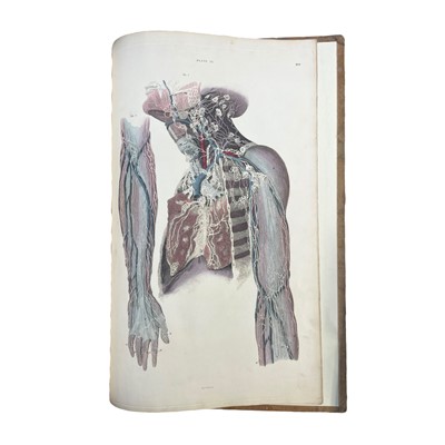 Lot 154 - Lizars (John) A System of Anatomical Plates of the Human Body
