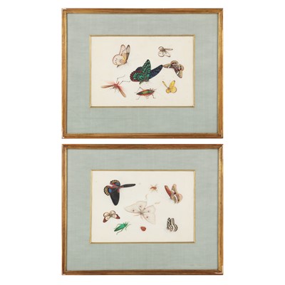 Lot 227 - Two Chinese pith paper 'butterflies' paintings, Qing dynasty, 19th century