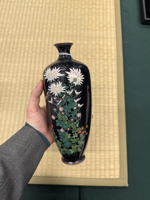 Lot 87 - A pair of Japanese cloisonné enamel 'chrysanthemum' vases, Meiji period