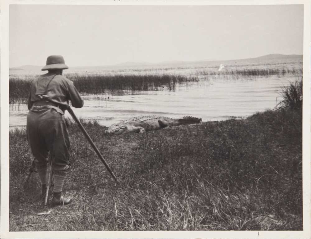 Lot 72 - Kearton Brothers