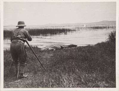 Lot 72 - Kearton Brothers