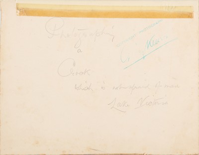 Lot 72 - Kearton Brothers