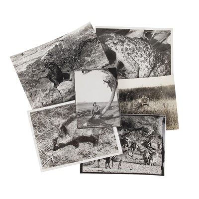 Lot 76 - Cherry Kearton F.R.P.S (1871-1940)