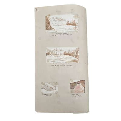 Lot 36 - Suter (Richard)