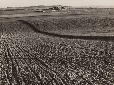 Lot 34 - André Kertész (1894-1985)