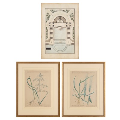 Lot 176 - Botany: Favrat-Troyon ('Madame') Two drawings, with an engraving of an orangerie