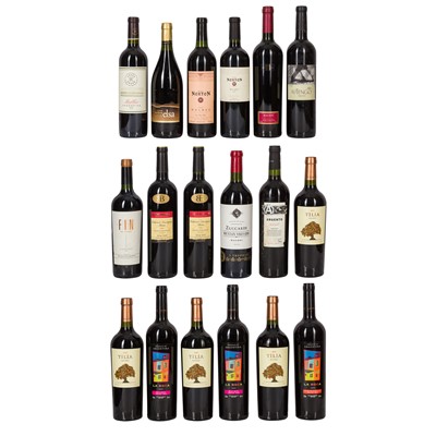 Lot 262 - A selction of Argentinian Wines - 18 Bottles