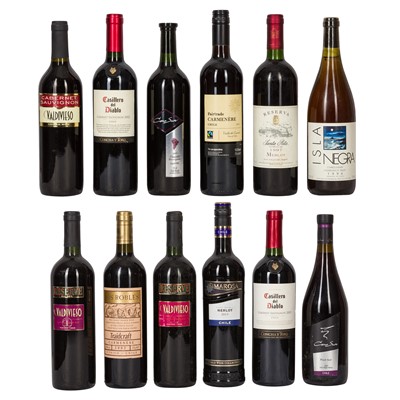 Lot 261 - A selection of Chilean Wine - 12 Bottles