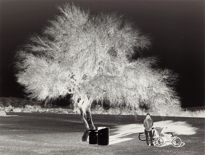 Lot 300 - Aneta Grzeszykowska ( b.1974)