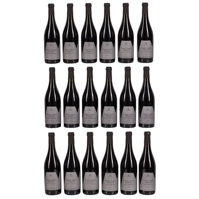 Lot 202 - Anno Domini Pinot Nero 2021 - 18 bottles