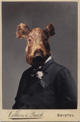 Lot 6 - Charlotte Cory (b.1956)