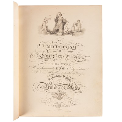 Lot 7 - Ackermann (Rudolph)