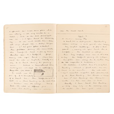 Lot 85 - Ornithology.