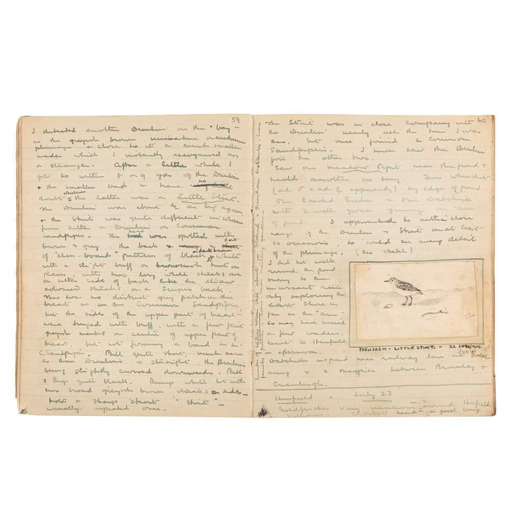 Lot 85 - Ornithology.