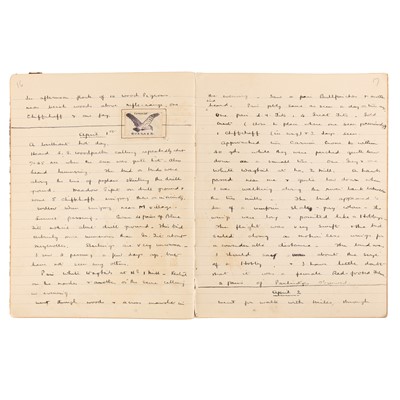 Lot 85 - Ornithology.