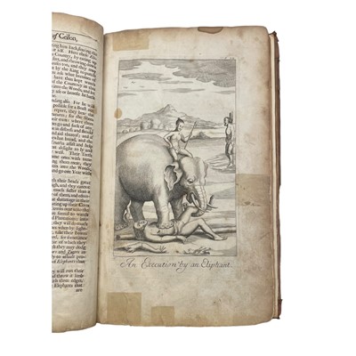 Lot 41 - Knox (Robert)