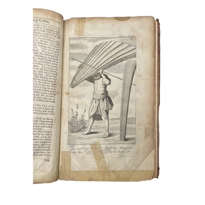 Lot 41 - Knox (Robert)