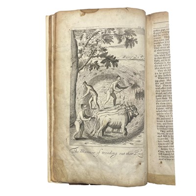 Lot 41 - Knox (Robert)