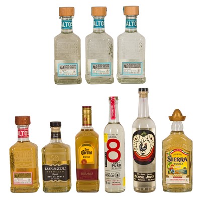 Lot 446 - Mixed Tequila - 9 bottles