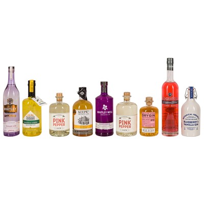 Lot 434 - Gins of Many Colours and Flavours - 9 bottles