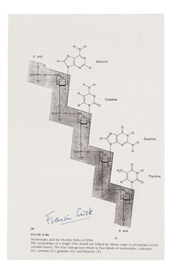 Lot 417 - Crick (Francis)
