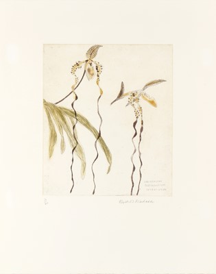 Lot 104 - Dame Elizabeth Blackadder R.A. (British, b.1931)