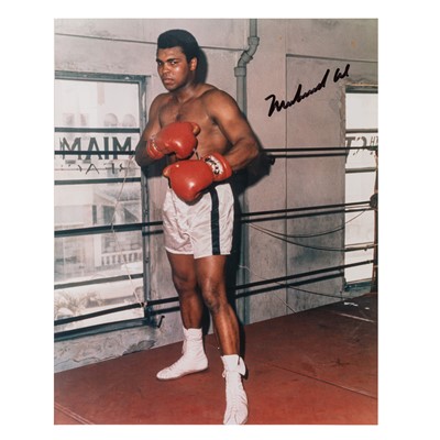 Lot 542 - Ali (Muhammad)