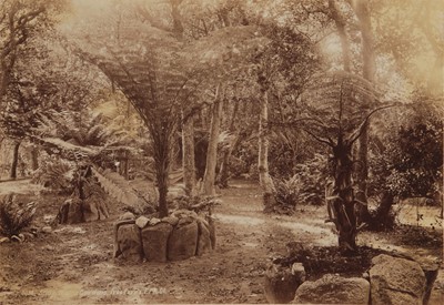 Lot 56 - Francis Frith &Co, and others