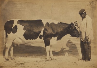 Lot 27 - Adrien Tournachon (1825-1903)