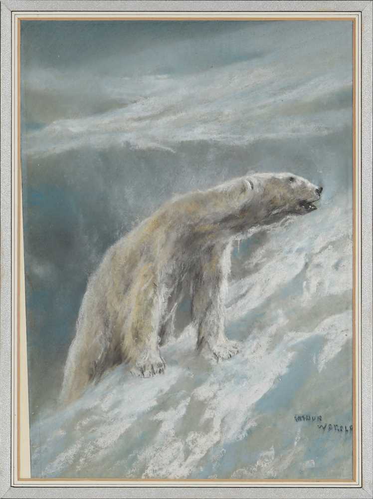 Lot 63 - Arthur Wardle (British, 1864-1949)