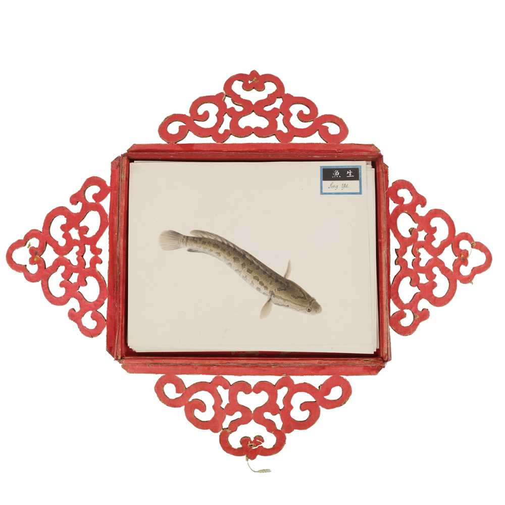 220 - A rare Chinese album containing fifty watercolour paintings, Qing dynasty, early 19th century