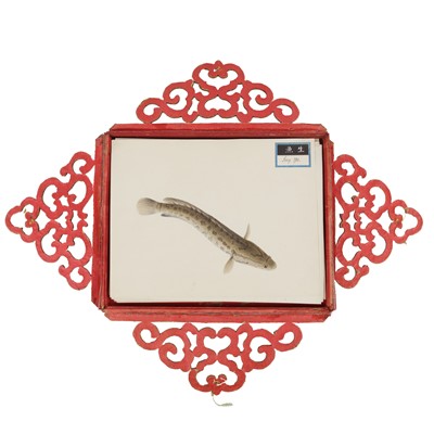 Lot 220 - A rare Chinese album containing fifty watercolour paintings, Qing dynasty, early 19th century