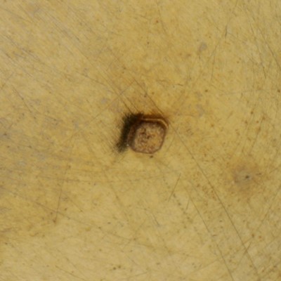 Lot 35 - Vienna circa 1880 by SG