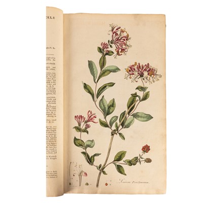 Lot 147 - Curtis. Flora Londinensis, Vol 1 of 2 only, 1777