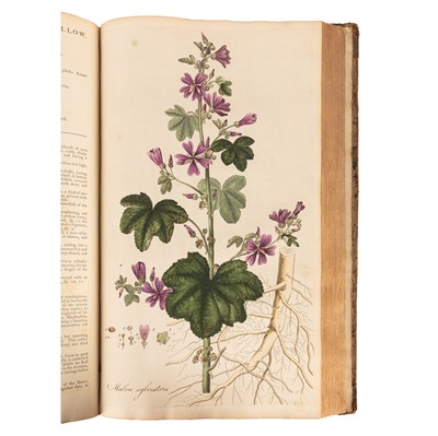Lot 147 - Curtis. Flora Londinensis, Vol 1 of 2 only, 1777