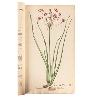 Lot 147 - Curtis. Flora Londinensis, Vol 1 of 2 only, 1777