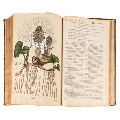 Lot 147 - Curtis. Flora Londinensis, Vol 1 of 2 only, 1777