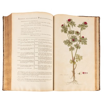 Lot 147 - Curtis. Flora Londinensis, Vol 1 of 2 only, 1777