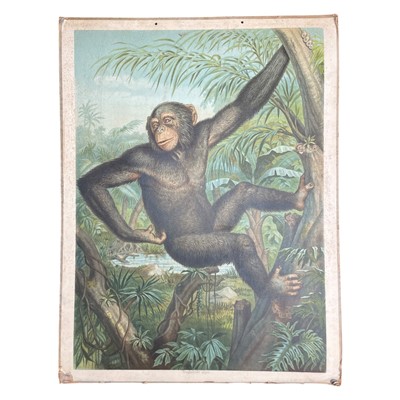 Lot 130 - A collection of five school prints of animals, including: Jacobsen (Alfred)