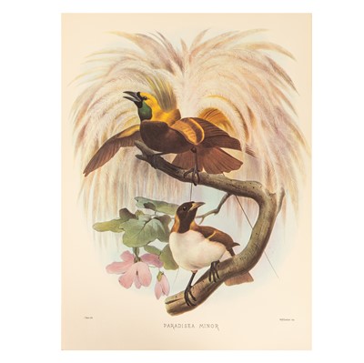 Lot 149 - Elliot. A Monograph of the Paradiseidae [Birds] 1977