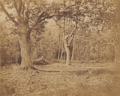 Lot 41 - Unknown Photographer (XIX)