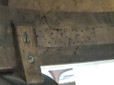 Lot 13 - A French empire style marble topped gueridon