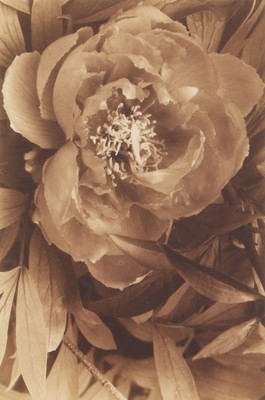 Lot 273 - Bruce Rae (b.1946)