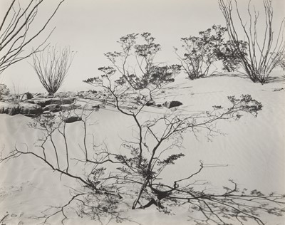 Lot 112 - Brett Weston (1911-1993)