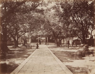 Lot 88 - Various Photographers (XIX)