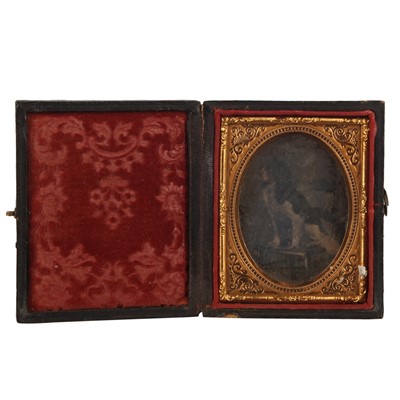 Lot 17 - Animal Daguerreotype