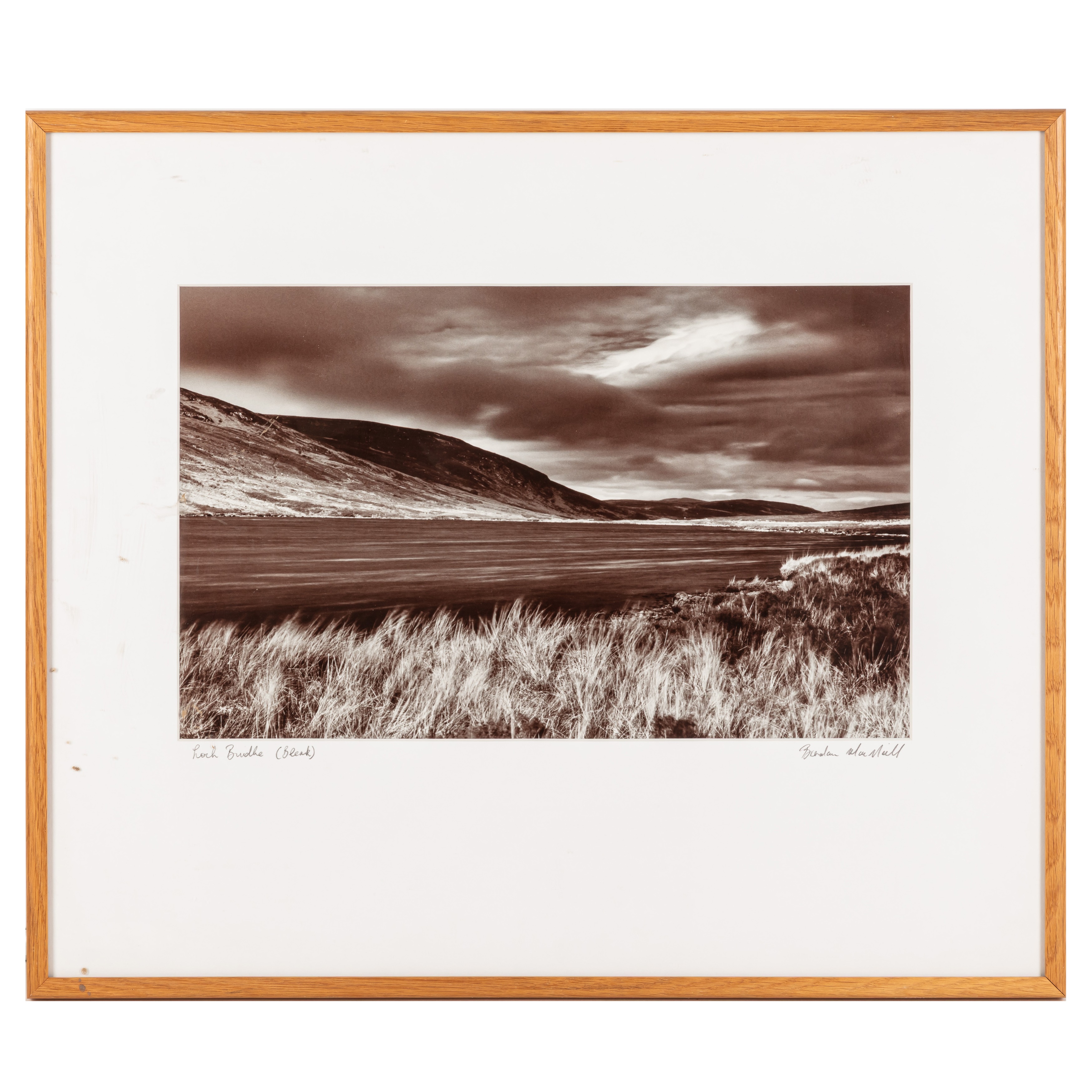 Lot 96 - Brenda MacNeill (XX)