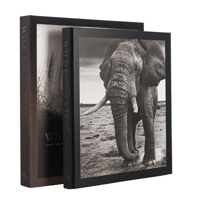 Lot 290 - David Yarrow (b.1966)